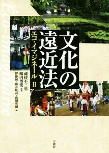 文化の遠近法 エコ・イマジネール　II／藤井紘司(編者),山越英嗣(編者),伊藤純(編者),蔵持不三也,嶋内博愛