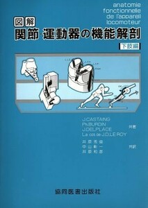 図解　関節・運動器の機能解剖 下肢編／Ｊ．Ｃａｓｔａｉｎｇ(著者),Ｊ．Ｊ．Ｓａｎｔｉｎｉ(著者),井原和彦(訳者),井原秀俊(訳者),中山彰