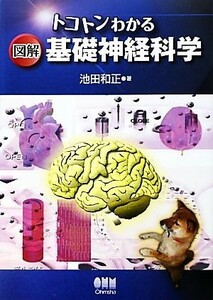 トコトンわかる図解　基礎神経科学／池田和正【著】