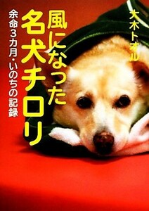 風になった名犬チロリ 余命３カ月・いのちの記録 ノンフィクション・生きるチカラ１６／大木トオル【著】