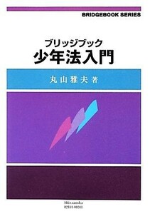 ブリッジブック少年法入門 ブリッジブックシリーズ／丸山雅夫【著】