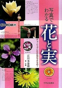 ＣＤ‐ＲＯＭ付　写真でわかる花と実／江川多喜雄【著・写真】