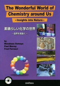 素晴らしい化学の世界　自然を見抜く／染矢正一(著者),ポール・マレイ(著者)