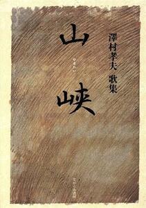 山峡　澤村孝夫歌集／澤村孝夫(著者)