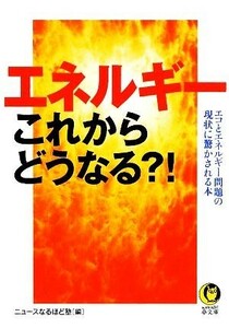 エネルギーこれからどうなる？！ エコとエネルギー問題の現状に驚かされる本 ＫＡＷＡＤＥ夢文庫／ニュースなるほど塾【編】