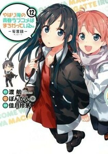 やはり俺の青春ラブコメはまちがっている。－妄言録－(Ｖｏｌ．１２) ビッグガンガンＣ／佳月玲茅(著者),渡航,ぽんかん８