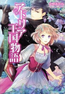 アドリア王国物語 幻黒の騎士と忘れじの乙女 角川ビーンズ文庫／文野あかね(著者),天野ちぎり