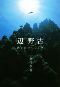 辺野古 海と森がつなぐ命／中村卓哉(著者)