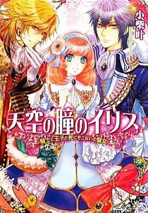 天空の瞳のイリス　騎士と王子と死にぞこないの聖女 ビーズログ文庫／小柴叶【著】