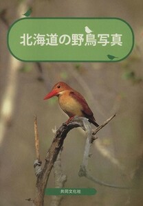 北海道の野鳥写真／山田良造(著者)