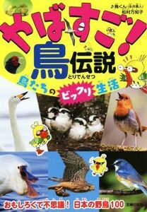 ya...! bird legend bird ... amazing life |! bird kun ( Nagai genuine person )( author ), pine . ten thousand ..( author )