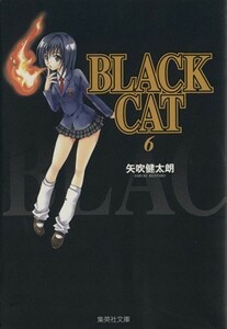 ＢＬＡＣＫ　ＣＡＴ（文庫版）(６) 集英社Ｃ文庫／矢吹健太朗(著者)