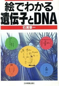 絵でわかる遺伝子とＤＮＡ／石浦章一(著者)