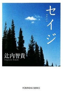 セイジ 光文社文庫／辻内智貴【著】