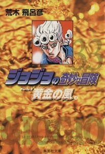 ジョジョの奇妙な冒険（文庫版）(３３) 集英社Ｃ文庫／荒木飛呂彦(著者)