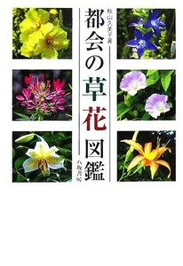 都会の草花図鑑／秋山久美子【著】