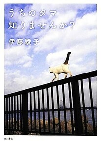 うちのタマ知りませんか？ 伊藤綾子／著