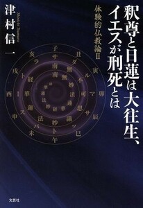 釈尊と日蓮は大往生、イエスが刑死とは 体験的仏教論　II／津村信一(著者)