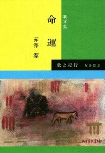 命運 友を偲ぶ　歌文集／赤澤潔(著者)