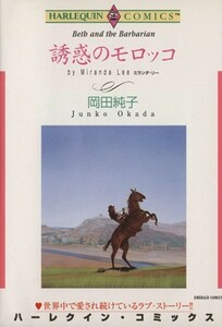 誘惑のモロッコ エメラルドＣ／岡田純子(著者)