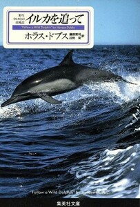 イルカを追って 野生イルカとの交流記 集英社文庫／ホラス・ドブス(著者),藤原英司(訳者),辺見栄(訳者)