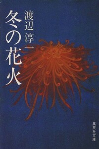 冬の花火 集英社文庫／渡辺淳一(著者)