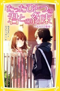 たったひとつの君との約束～なみだの聖夜～ 集英社みらい文庫／みずのまい(著者),Ｕ３５