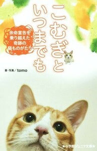 こむぎといつまでも 余命宣告を乗り越えた奇跡の猫ものがたり 小学館ジュニア文庫／ｔｏｍｏ