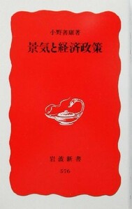 景気と経済政策 岩波新書／小野善康(著者)