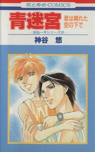 青迷宮－君は晴れた空の下で－ 京＆一平シリーズ０２３ 花とゆめＣ京＆一平シリ－ズ２３／神谷悠(著者)