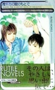 幾千万の星のもとで （Ｒｕｔｉｌｅ　ｎｏｖｅｌｓ） ふゆの仁子／著