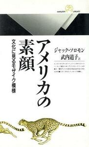 アメリカの素顔 文化に見るモザイク模様 丸善ライブラリー０３７／ジャックソロモン【著】，武内道子【訳】