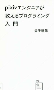 ｐｉｘｉｖエンジニアが教えるプログラミング入門 星海社新書６３／金子達哉(著者)