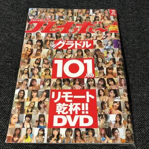 【新品・未開封】週刊プレイボーイ グラドル101人