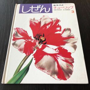 ケ19 しぜん チューリップ 1991年3月1日発行 キンダーブック 絵本 子供 児童本 子ども 小学 学び 知識 幼虫 昆虫 自然 学習 幼児 保育 花