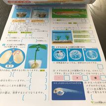 シ3 非売品 基礎基本理科A＋P 5年生 学習 問題集 ドリル 小学 テキスト テスト用紙 前期 文章問題 家庭学習 2学期制 新学社 AH542M_画像7