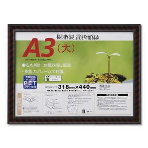 賞状額縁 許可証額縁 樹脂フレーム 金ラック-R PET Ａ３(大)サイズ SP