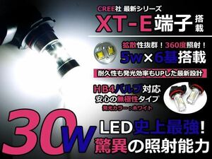 メール便送料無料 LEDフォグランプ VOXY ヴォクシー AZR6#系 LEDバルブ ホワイト 6000K相当 9006 HB4 CREE製 30W