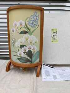 * beautiful goods * super beautiful 3 number . flower . butterfly orchid . iron line lotus genuine Gifu . light .*A-2631