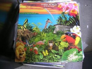 ●Reggae LP●THIRD WORLD/ALL THE WAY STRONG