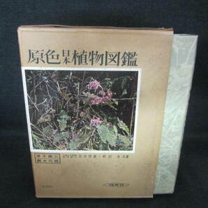 原色日本植物図鑑 中 日焼け有/UCZHの画像1