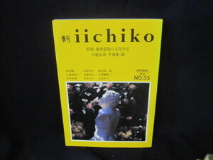 季刊iichiko1995春号NO.35　地球環境の文化学？　シミ有/VEZE