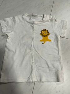 半袖 ライオン Tシャツ キッズ