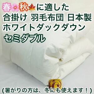 ... feather futon semi-double new Gold label made in Japan spring autumn for 