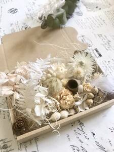  white flower nuts dry flower assortment 