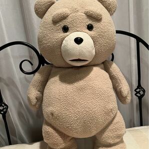 Ted ぬいぐるみ 60cm 等身大