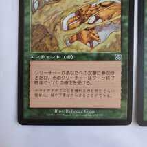 ○★MTG★茨の茂み★2枚★マジック・ザ・ギャザリング★メルカディアン・マスクス★1999年★保管品★_画像4