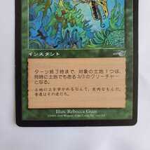 ○★MTG★動く土地★マジック・ザ・ギャザリング★ネメシス★2000年★保管品★_画像4