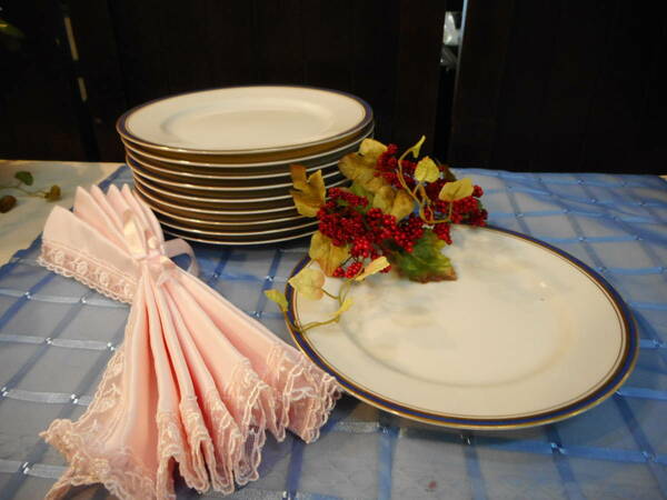 レストラン・ホテル使用　金縁ブルーライン　ケーキ皿　10客　陶器　洋食器　中古品