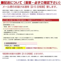 ポーランド 国旗 フェイスシール タトゥシール 【 ワールド対応ステッカー ☆ サッカー・野球 ラグビー 代表応援グッズ♪_画像8